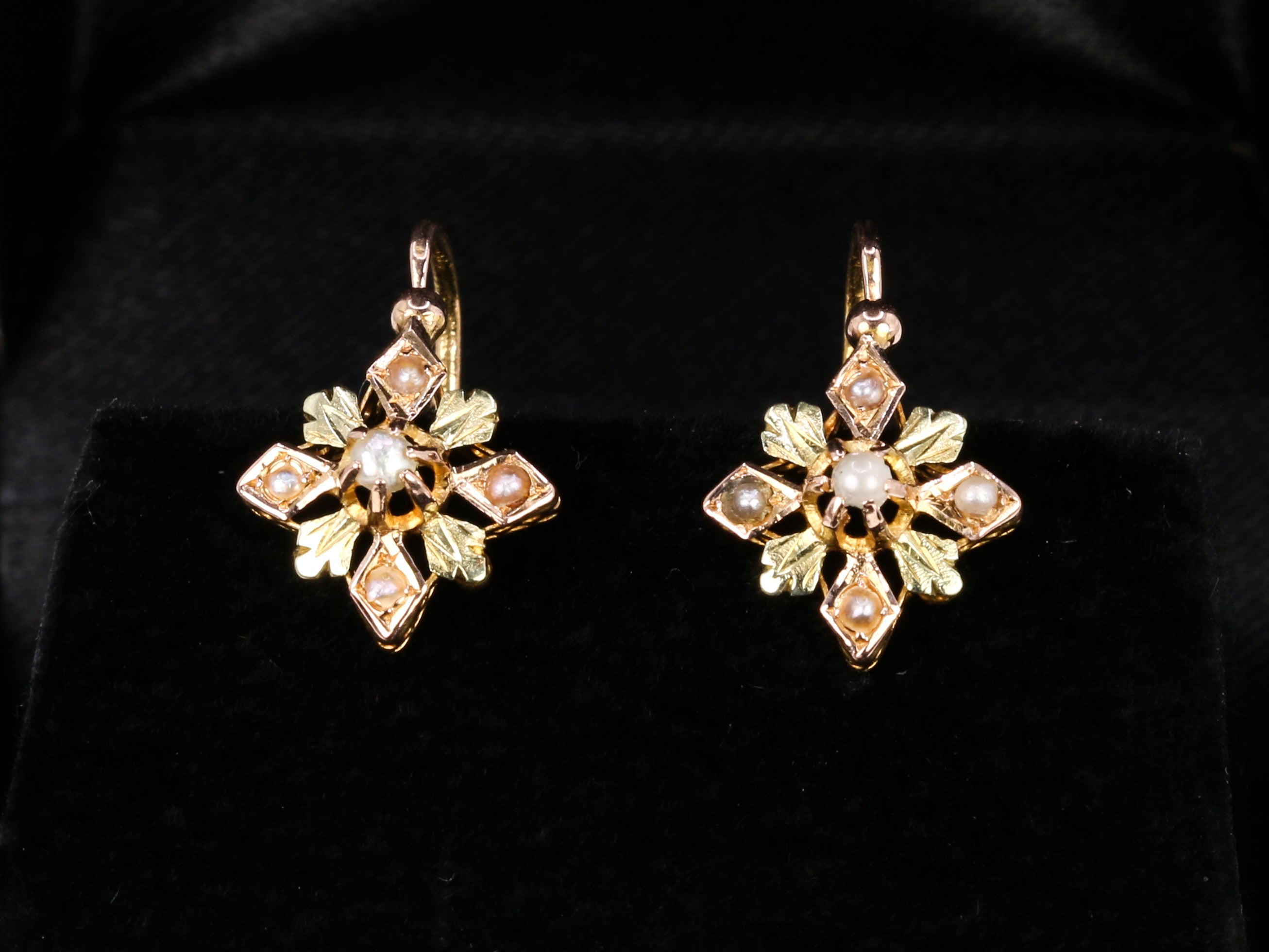 Lever earrings in pink and yellow gold