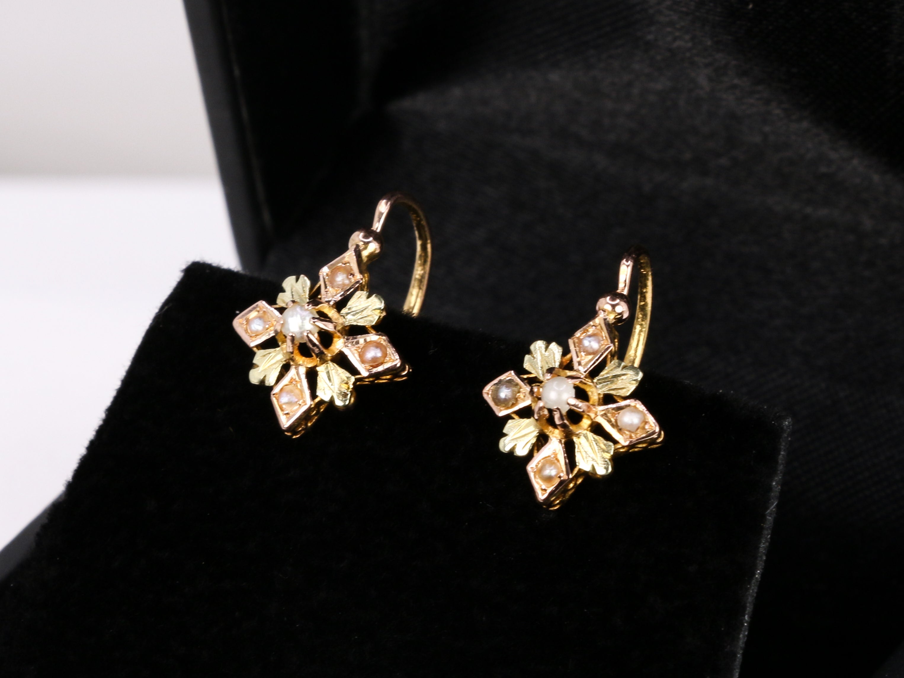 Lever earrings in pink and yellow gold