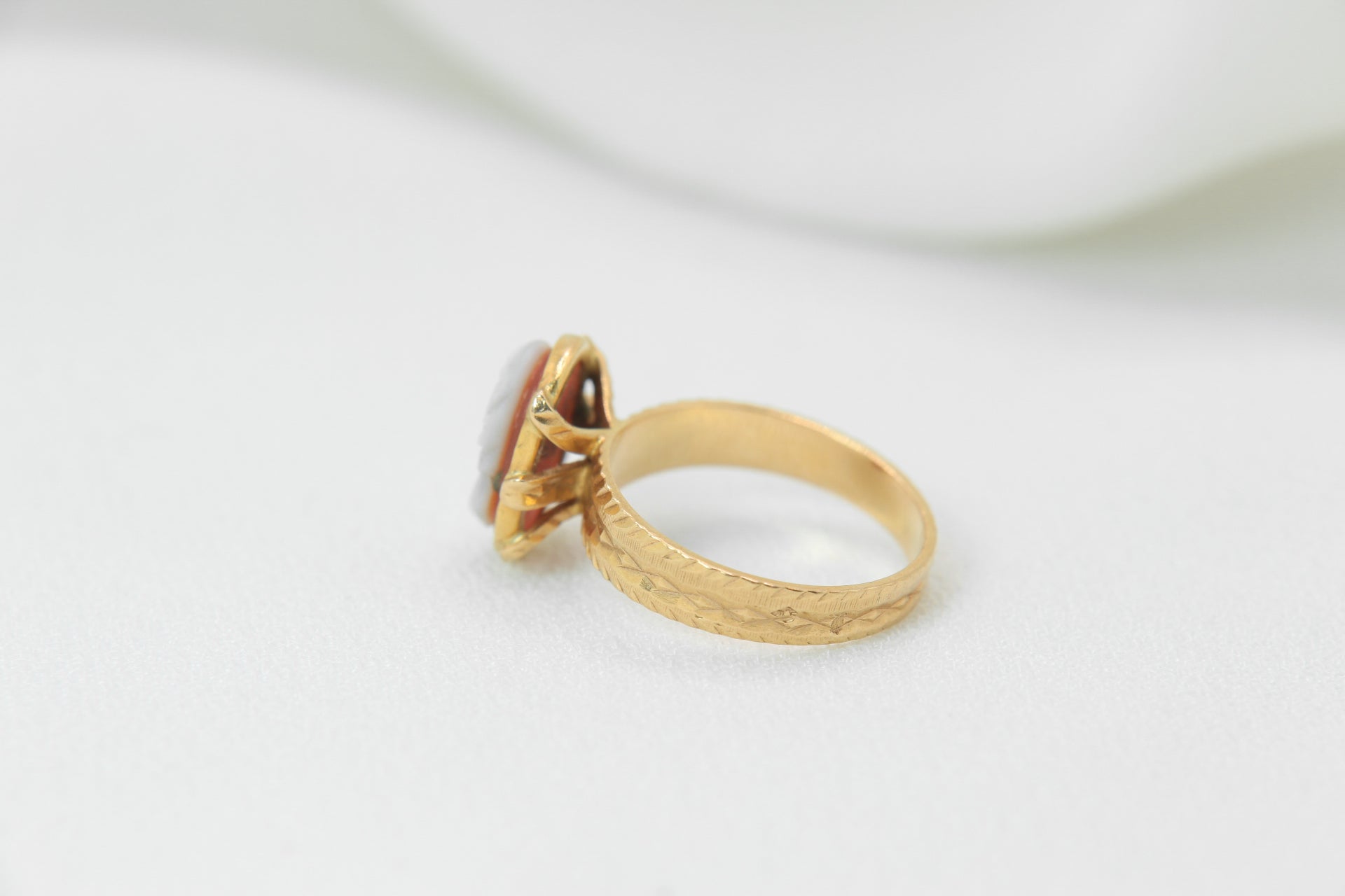 Vintage ring in yellow gold and shell cameo